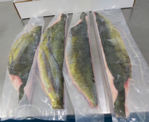 Mahi Mahi